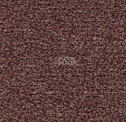 Грязезащитные покрытия Forbo Coral Classic 4759 old rose фото 1 | FLOORDEALER